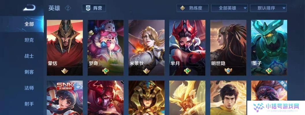 寒冰铭文辅助出装攻略（强化ADC输出，高效率铭文选择）
