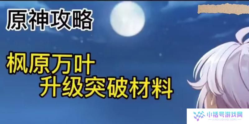 《原神0命辅助流强度大揭秘》（如何提升万叶的输出，抽取建议你必须知道）
