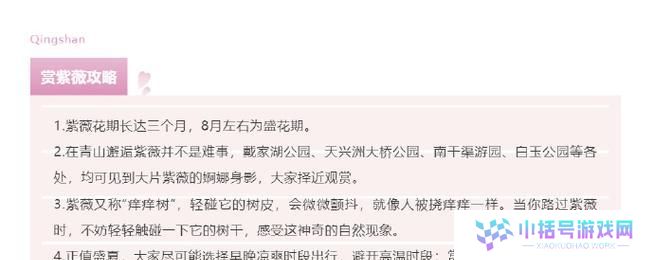漫游神秘岛攻略百度指南（探索未知的度假天堂，百度助你畅玩神秘岛）