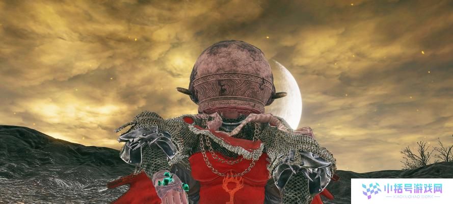 艾尔登法环破解坠星兽物攻略（掌握攻略，轻松击败坠星兽物）