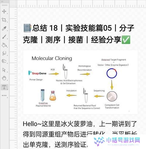 克隆装备技能选择攻略（充分利用克隆技能，打造最强装备）